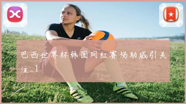 巴西世界杯韩国网红赛场助威引关注_1