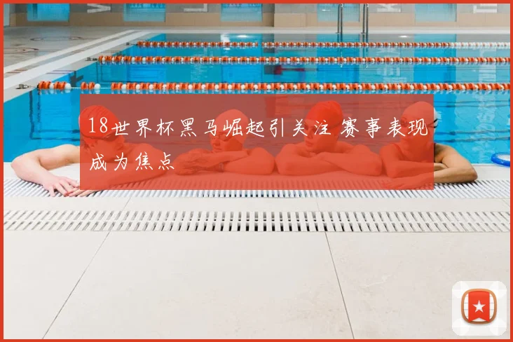 18世界杯黑马崛起引关注 赛事表现成为焦点